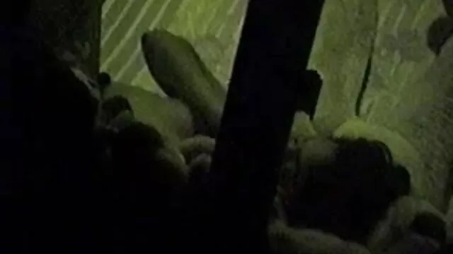 আর্কাইভ বাড়ি থেকে বাংলা sex গান