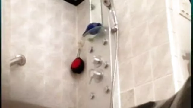 নার্স, জাপানি, এশিয়ান, ভিডিও বাংলা xxx