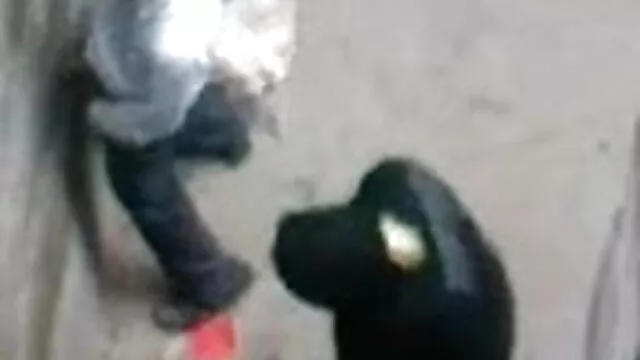 বাড়ীতে তৈরি xxx বাংলা xxx