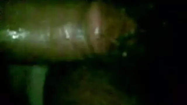 স্বামী ও বাংলা nxxx স্ত্রী