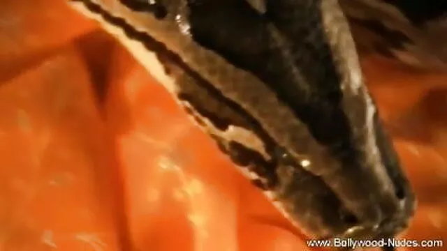 গ্রুপ, বাংলা দেশি xxx ভিডিও আন্ত জাতিগত