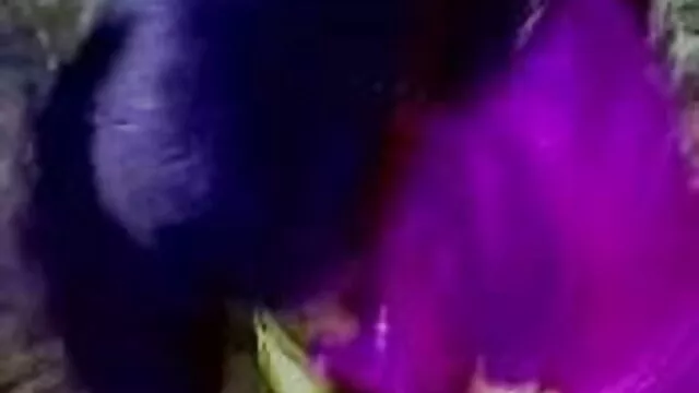 স্বামী ও স্ত্রী বাংলা xxx hd