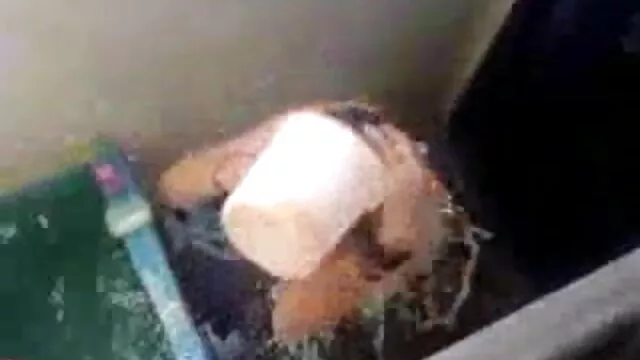 বাঁড়ার রস খাবার, বাংলা xnxxcom স্বর্ণকেশী