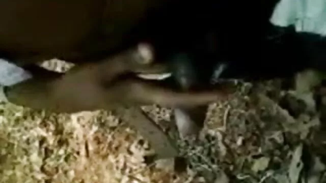 চাঁচা, মেয়েদের বাংলা sax video হস্তমৈথুন