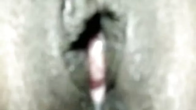 তিনে মিলে, সুন্দরি সেক্সি মহিলার, বাংলা গান sex দুর্দশা, চিতাবাঘ, দ্বৈত মেয়ে ও এক পুরুষ