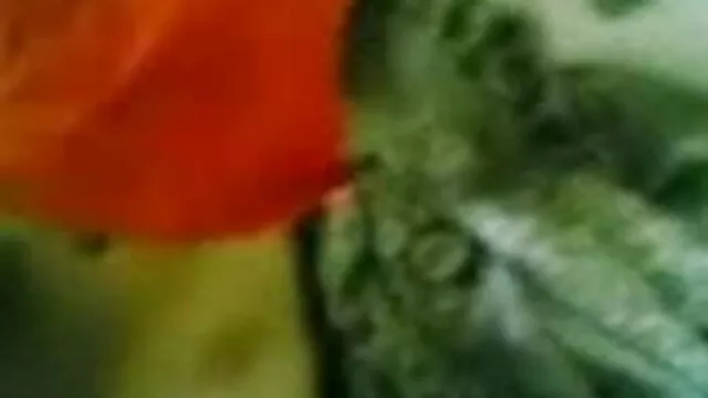 পুরুষ সমকামী বাংলা সেক্স এক্সক্সক্স