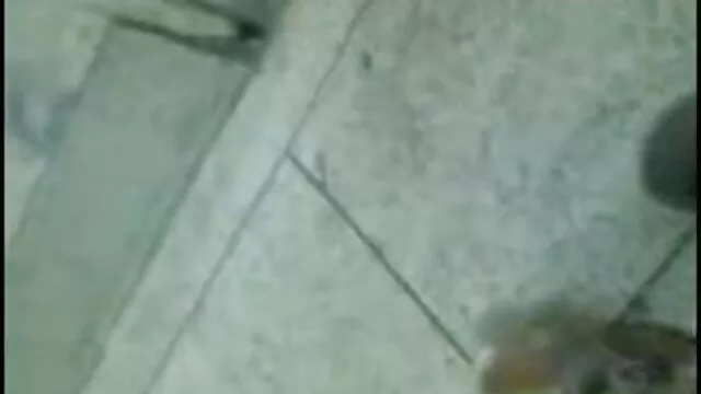সুন্দরি সেক্সি মহিলার বাংলা nxxx