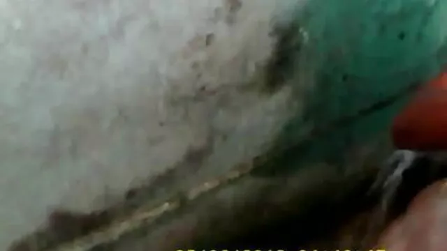স্বামী ও স্ত্রী বাংলা sex বিডিও