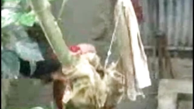 অপেশাদার, স্বামী ও স্ত্রী, বাংলা sex ভিডিও দুর্দশা,