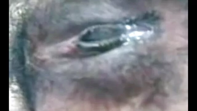বাঁড়ার বাংলা গান sex রস খাবার