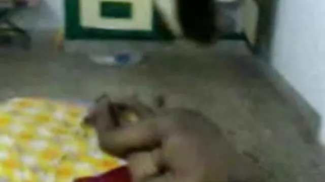 স্বামী ও বাংলাদেশী মেয়েদের sex স্ত্রী,