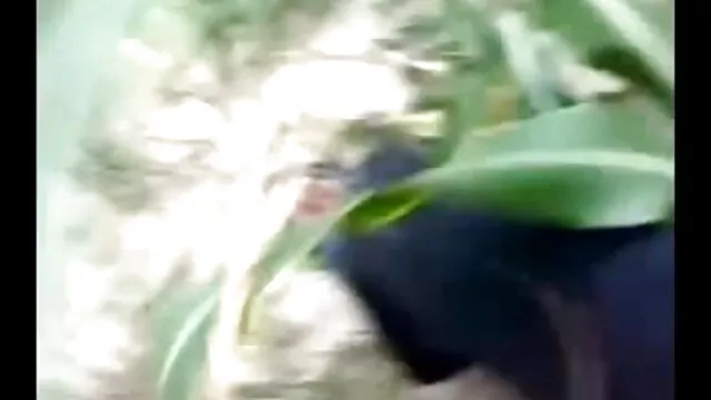 বাস্তবতা, বাড়ীতে xxx বাংলা xxx তৈরি