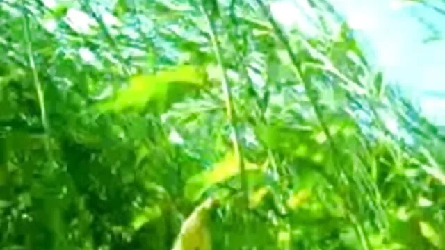 স্বামী ও স্ত্রী www বাংলা sex
