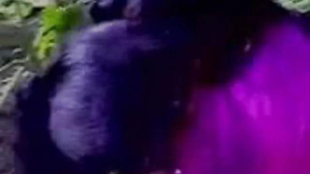 বড় সুন্দরী xxx videos বাংলা মহিলা
