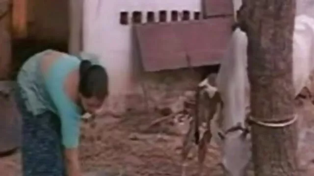 স্বামী বাংলা xxx ছবি ও স্ত্রী
