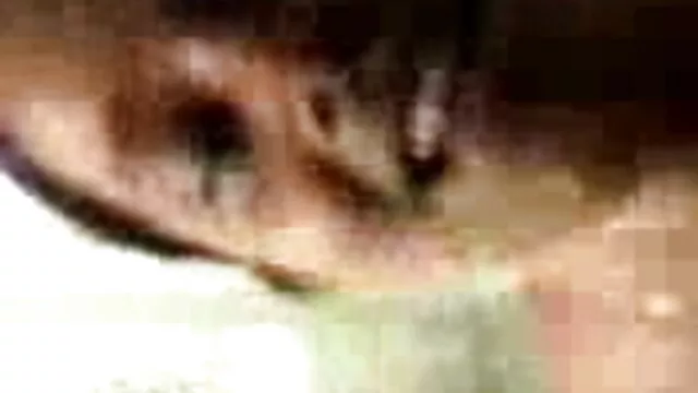 টুইট থেকে বাংলা হট xxx লিংক কপি করুন