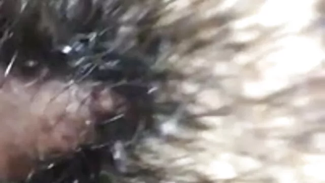 বাঁড়ার বাংলা sex গান রস খাবার