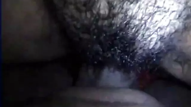 টেলিফোটো হাউস, বাংলাsex ভিডিও