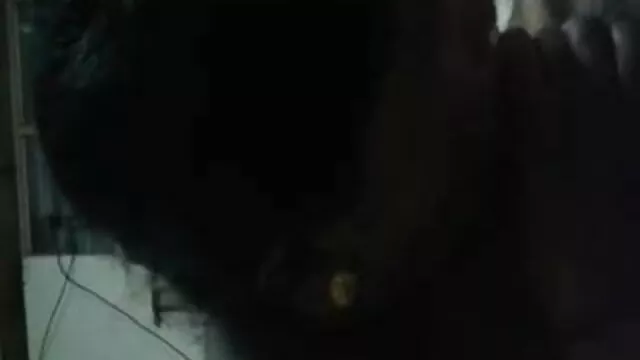 স্বামী ও বাংলা sex বিডিও স্ত্রী