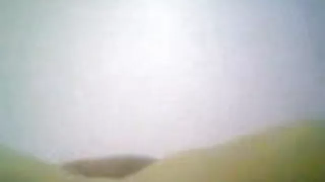 হাওড়া, নদ-বালাগার বাংলা sexx