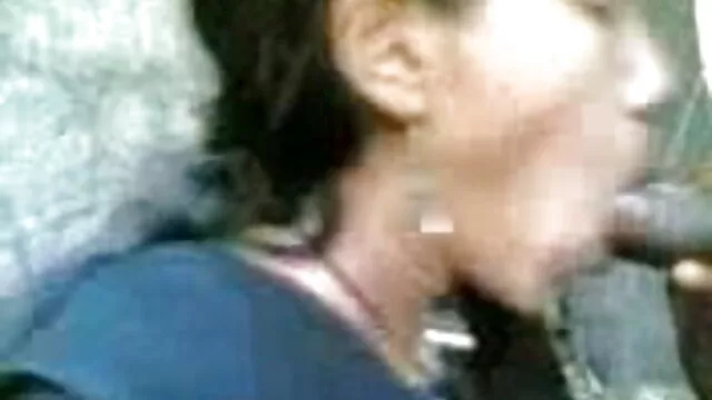 অপেশাদার, বাংলা sex x দুর্দশা, চেক,