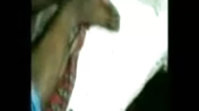 মেয়েদের বাংলাsex video com হস্তমৈথুন নকল বাঁড়ার মাই এর